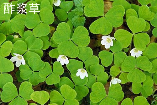 镜头滑出——欧美人与物ⅴideos另类，揭示电影背后的故事与技术魅力